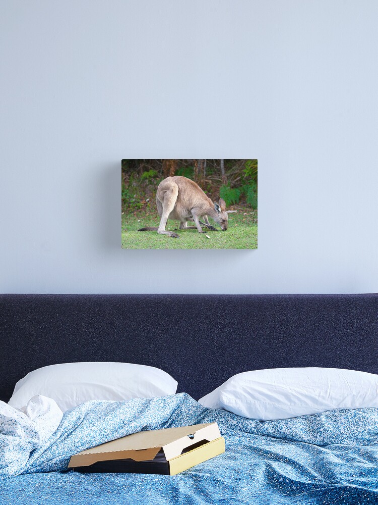 Thumbnail 1 of 3, Canvas Print, Kangaroo designed and sold by Richard Windeyer.