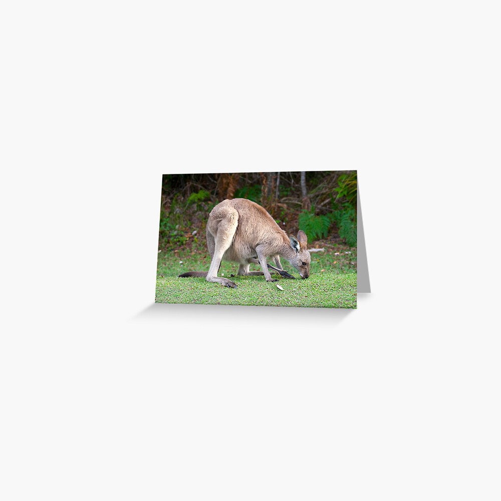 Item preview, Greeting Card designed and sold by RICHARDW.