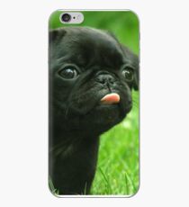 Schwarzer Mops iPhone-Hülle & Cover