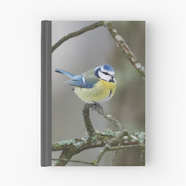 Item preview, Triangled. Eurasian blue tit designed and sold by Jouko Lehto Photography.