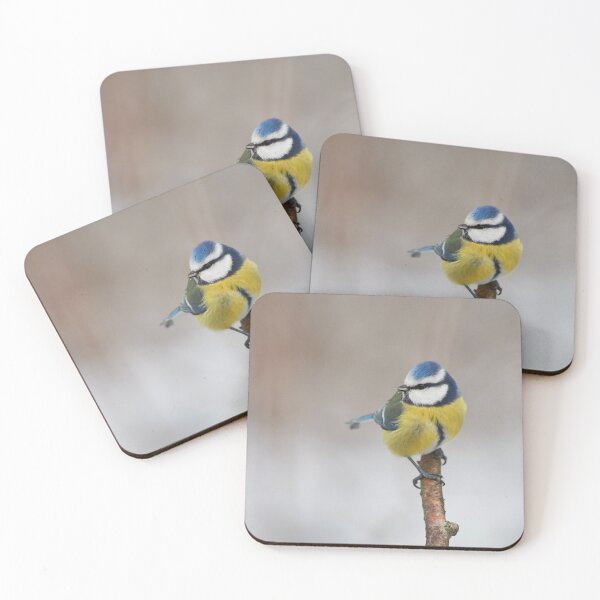 Item preview, Minimalistic way. Eurasian blue tit designed and sold by Jouko Lehto Photography.