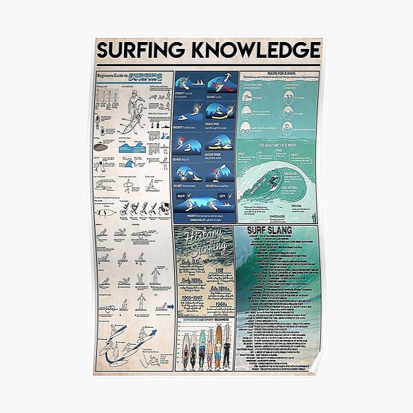 Surfing Wissen Poster