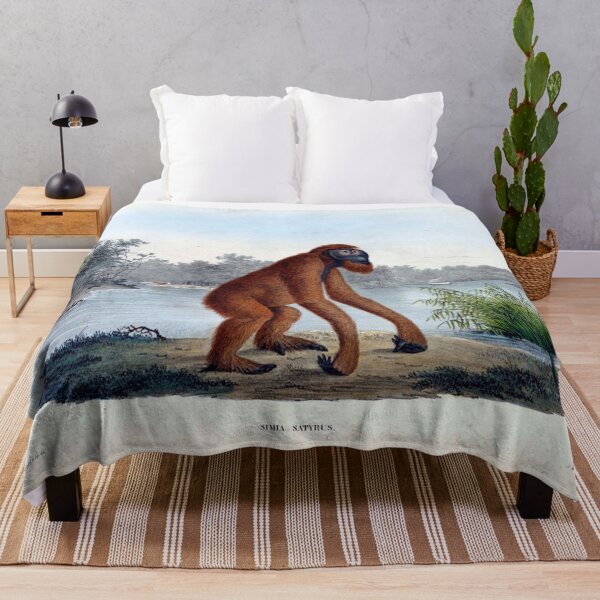 Item preview, Orangutan designed and sold by BookCoverSeeker.