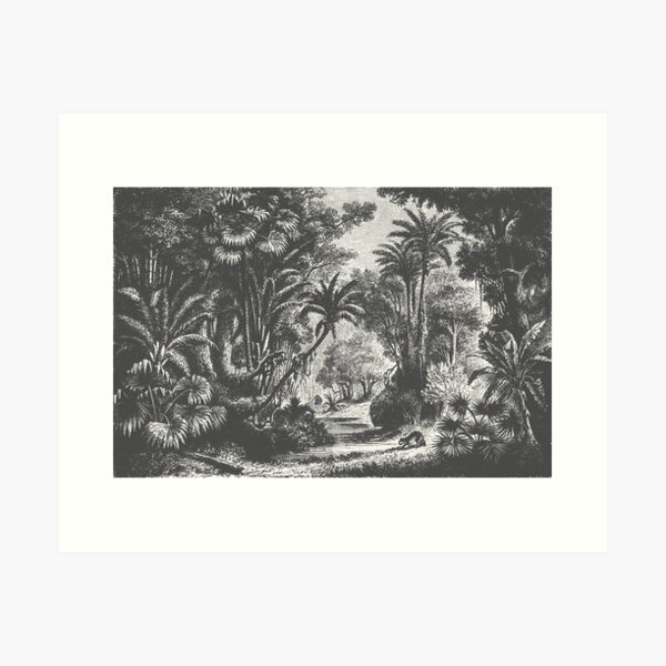 Item preview, Indian Jungle designed and sold by AsterPaper.