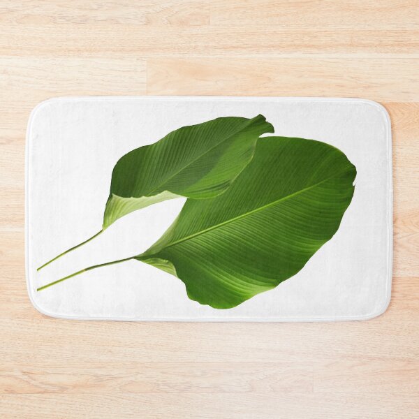 Item preview, Calathea Lutea Cigar plant designed and sold by DFMHart.