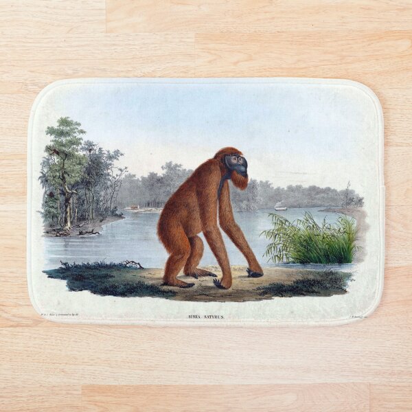 Item preview, Orangutan designed and sold by BookCoverSeeker.