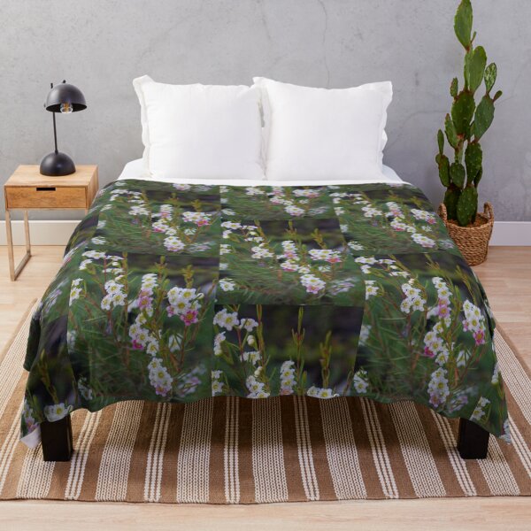 Item preview, Tea Tree, Leptospermum designed and sold by lezvee.