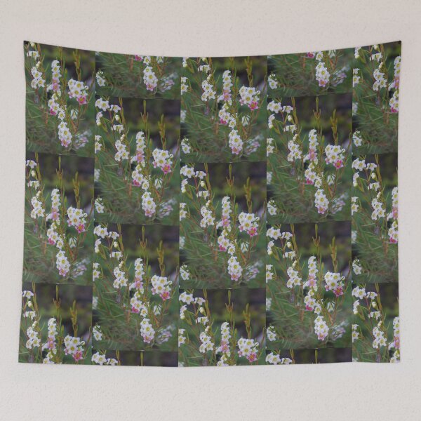 Item preview, Tea Tree, Leptospermum designed and sold by lezvee.