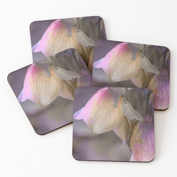 Item preview, Winter Roses designed and sold by Chris Armytage™.