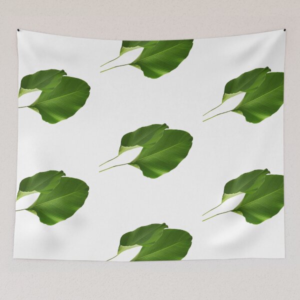 Item preview, Calathea Lutea Cigar plant designed and sold by DFMHart.