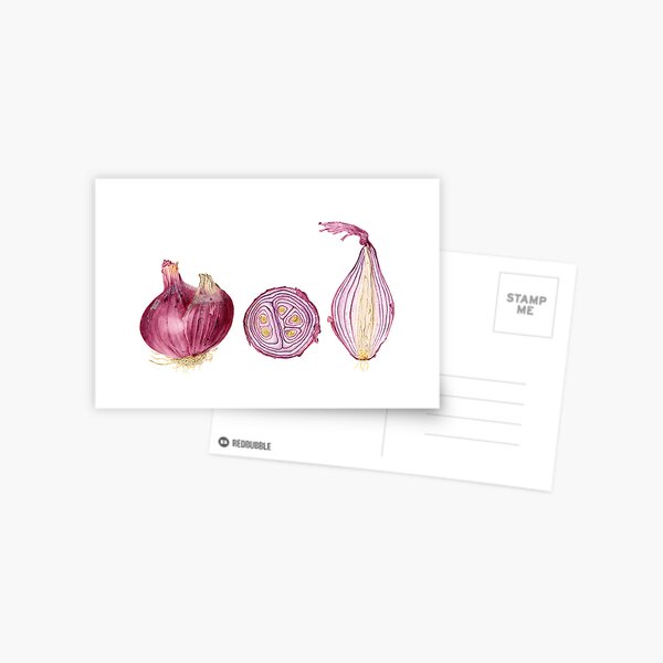 red onions stilllife Postcard