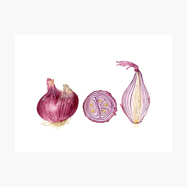 red onions stilllife Photographic Print