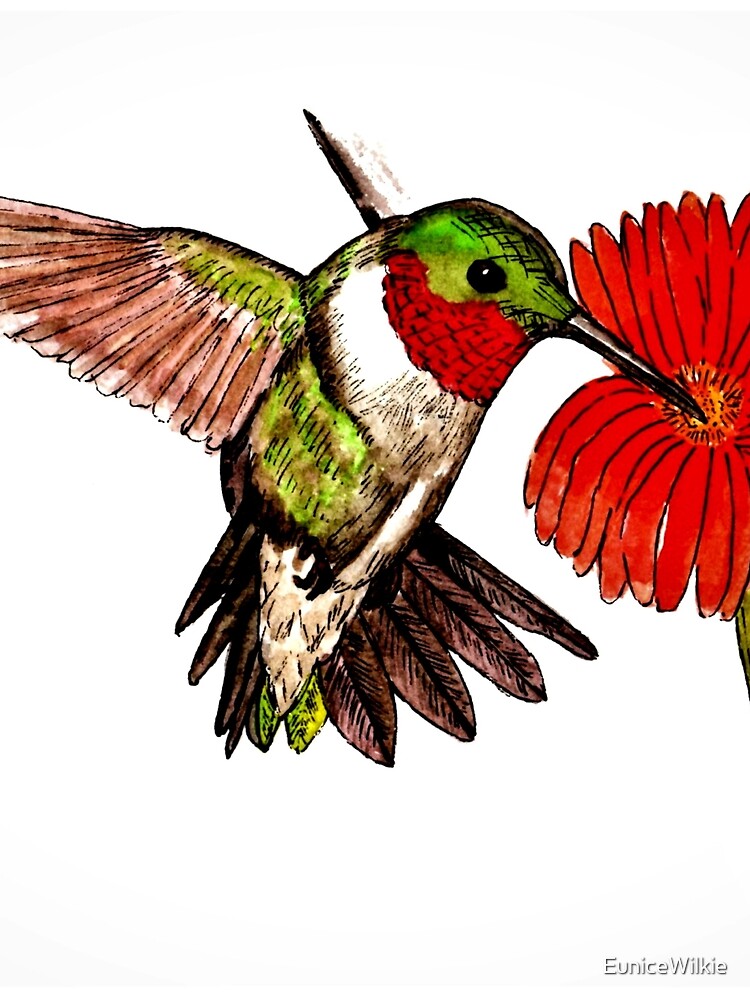Humming Bird and Flower - Scarf and Clothing by EuniceWilkie