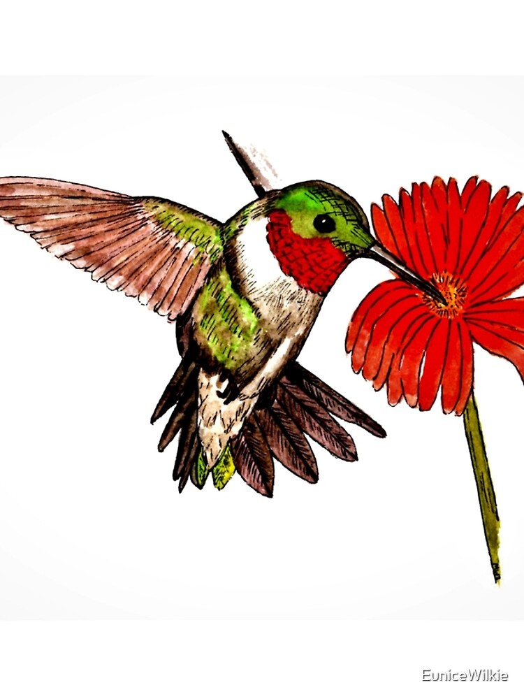Humming Bird and Flower - Scarf and Clothing by EuniceWilkie