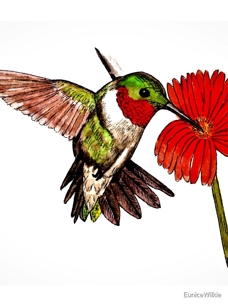 Humming Bird and Flower - Scarf and Clothing by EuniceWilkie