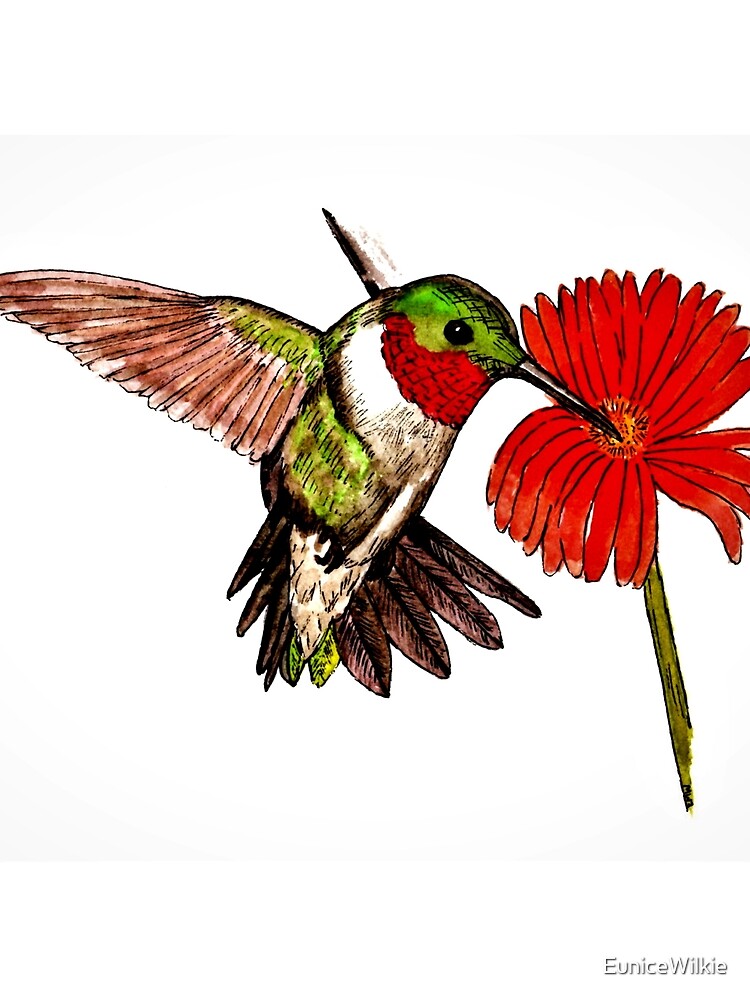 Humming Bird and Flower - Scarf and Clothing by EuniceWilkie