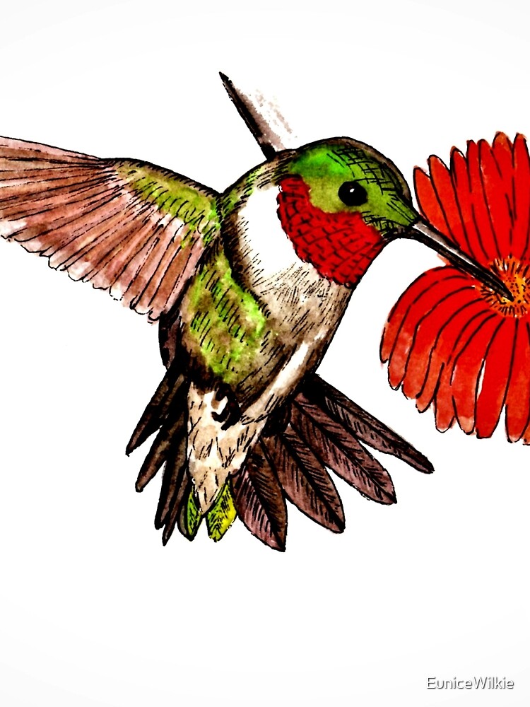 Humming Bird and Flower - Scarf and Clothing by EuniceWilkie