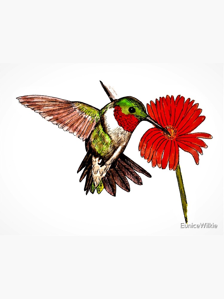 Humming Bird and Flower - Wall Art by EuniceWilkie