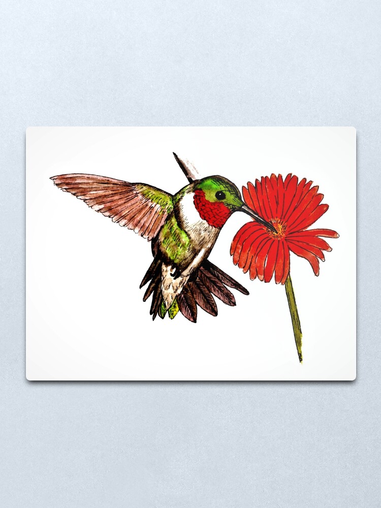 Alternate view of Humming Bird and Flower - Wall Art Metal Print
