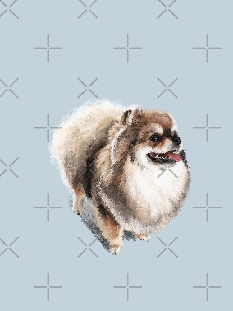 The Pomeranian by elspethrose