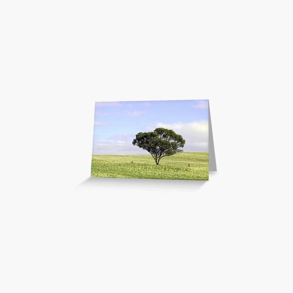 One Tree Hill Greeting Card