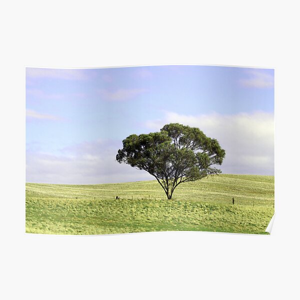 One Tree Hill Poster