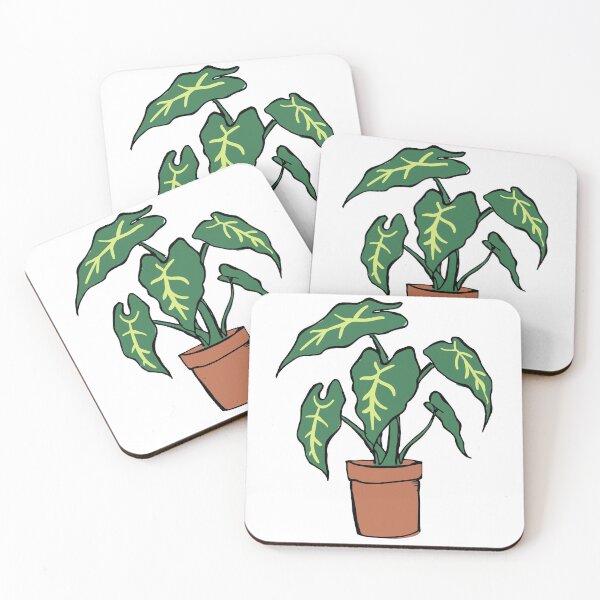 Item preview, Alocasia frydek - Elephant Ear Plant designed and sold by Ruff-n-Tumble.