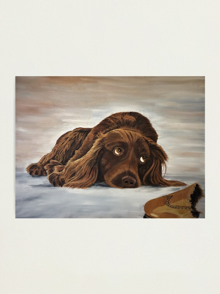 Alternate view of Naughty Spaniel - Wall Art Photographic Print