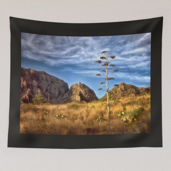 Item preview, Century Plant - Big Bend National Park designed and sold by Kathy Weaver.