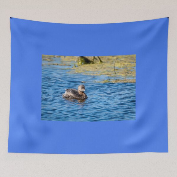 Item preview, Pie-billed Grebe On A Sunny Day designed and sold by Debra Martz.