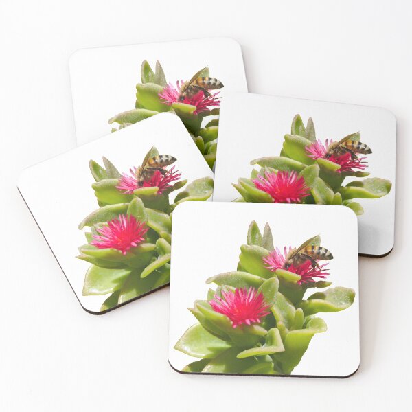 Item preview, Bee Bee In A Succulent Bees designed and sold by Jason Gilbert.