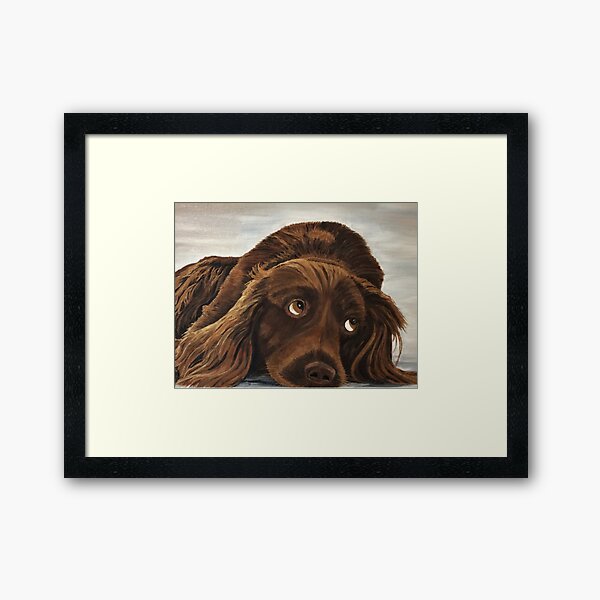 Spaniel Appeal - Wall Art Framed Art Print