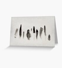 Feather Study no. 3 Greeting Card