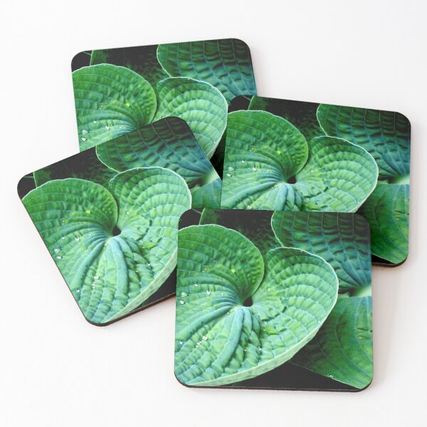 Item preview, Hosta Heart designed and sold by Valerie  Fuqua.