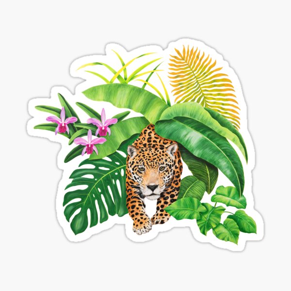 Animal stickers fotografías e imágenes de alta resolución - Alamy