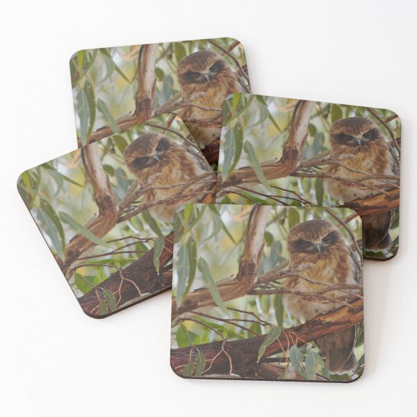 Item preview, Two Boobook Owls On A Branch designed and sold by Jason Gilbert.