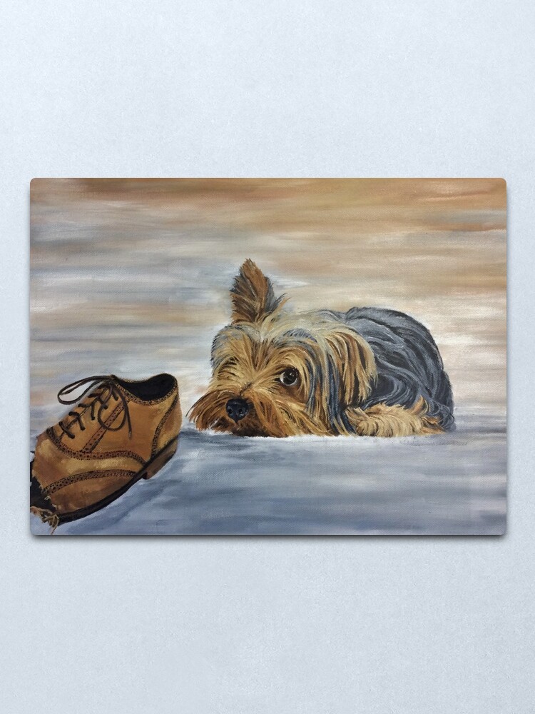 Alternate view of Naughty Yorkshire Terrier - Wall Art Metal Print