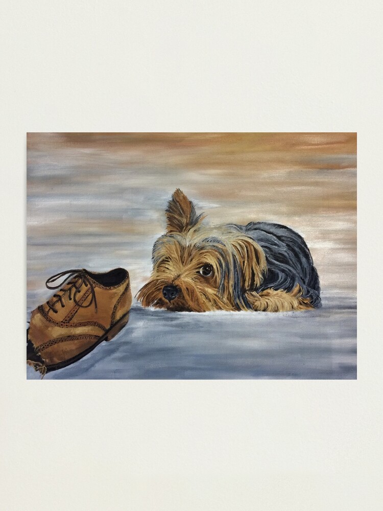 Alternate view of Naughty Yorkshire Terrier - Wall Art Photographic Print