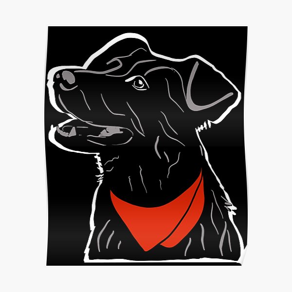 Anarcho communism Poster