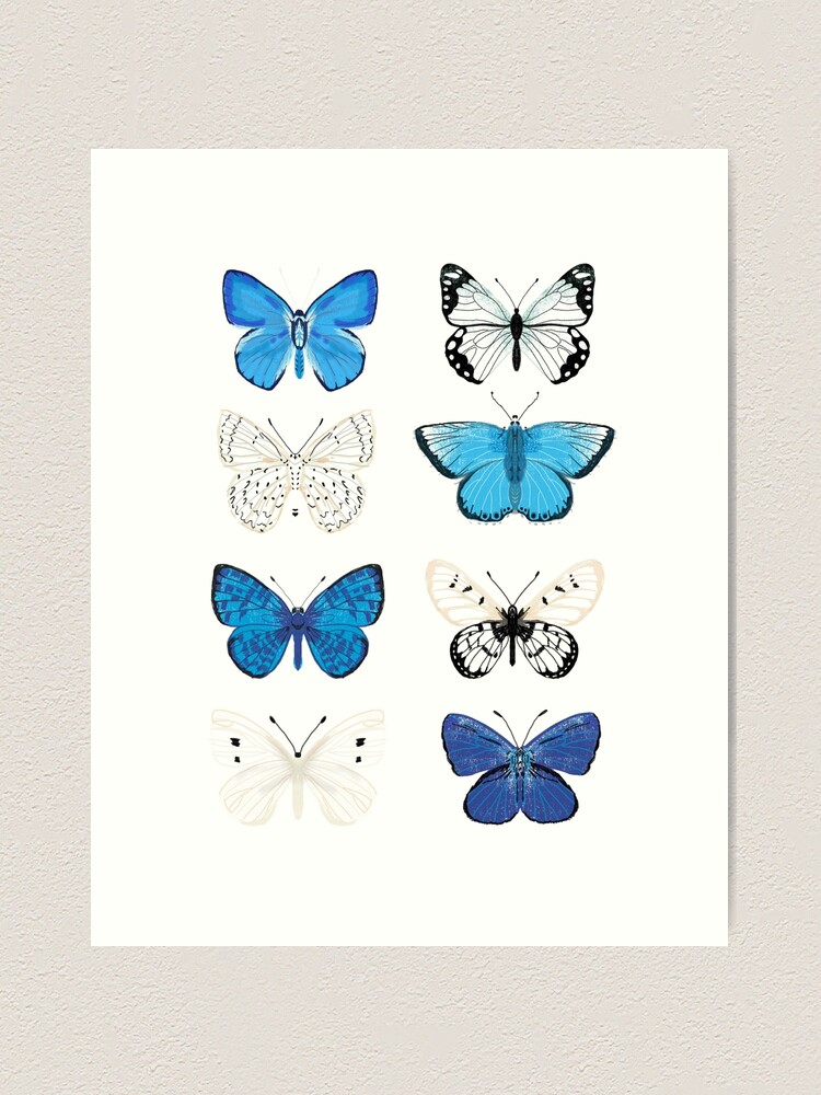 Alternate view of Blue and white Butterflies - butterfly sticker pack, butterfly sticker pack, butterflies stickers, butterfly stickers, moth art, moth Art Print