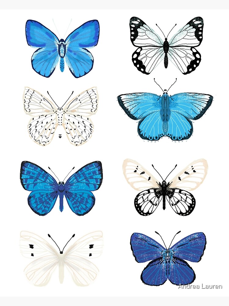 Blue and white Butterflies - butterfly sticker pack, butterfly sticker pack, butterflies stickers, butterfly stickers, moth art, moth by papersparrow