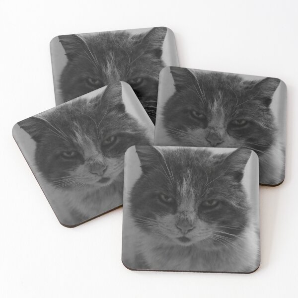 Item preview, Black&white photo of cat designed and sold by DBilbao.