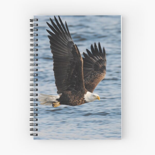 Item preview, Iowa Eagle - 3 designed and sold by Debbie Mueller.