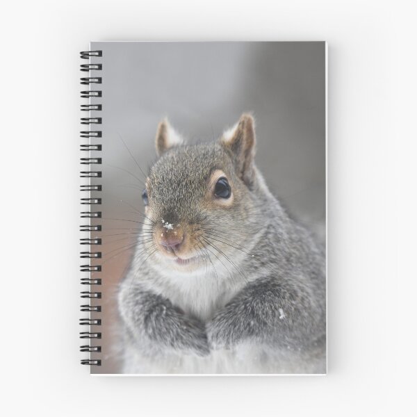Item preview, Eastern Gray Squirrel designed and sold by ForLoveofArt.