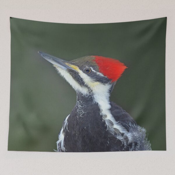 Item preview, Pileated Woodpecker designed and sold by ForLoveofArt.