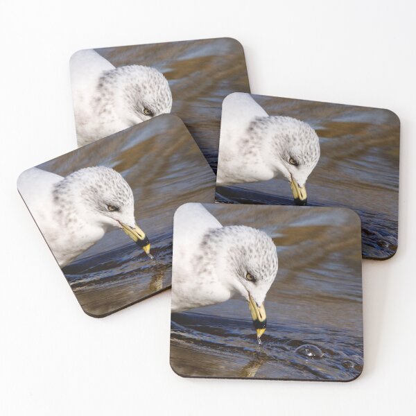 Item preview, Ring-billed Gull designed and sold by BRENDA DOHERTY.