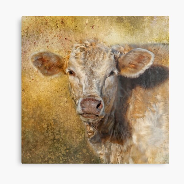 Blonds Do Have More Fun Metal Print