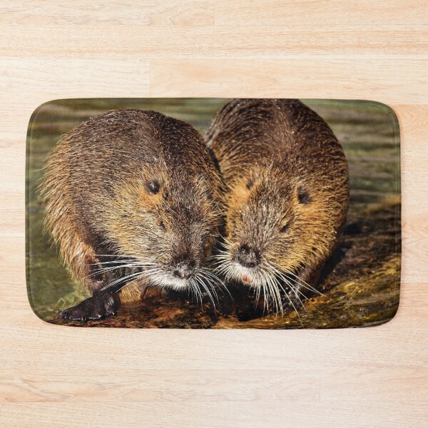 Item preview, Couple of nutria designed and sold by fourretout.