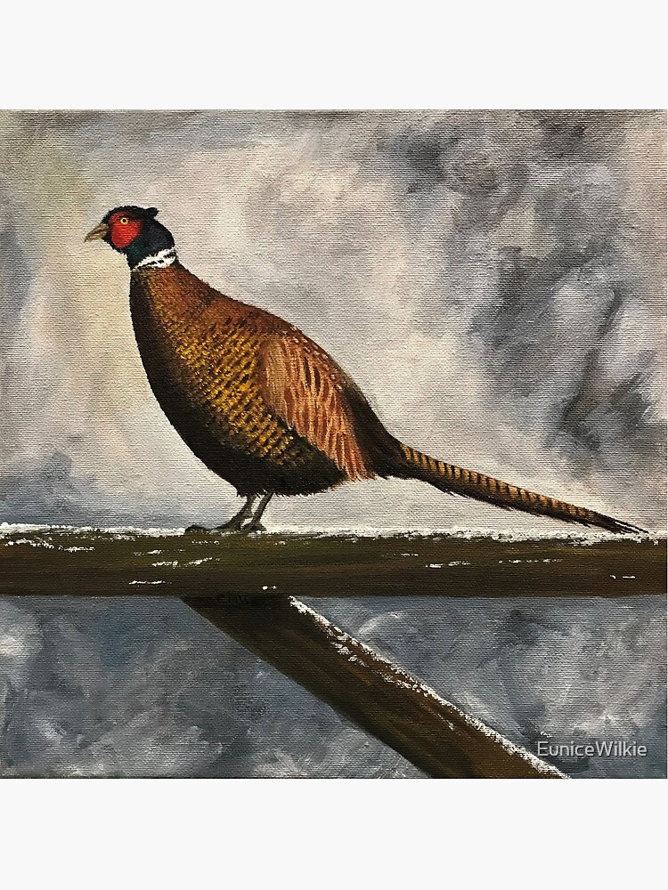 Pheasant in Winter - Wall Art by EuniceWilkie
