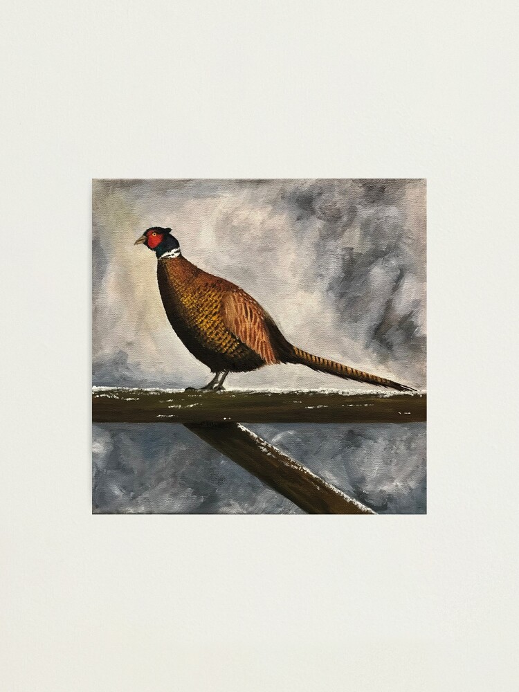Alternate view of Pheasant in Winter - Wall Art Photographic Print